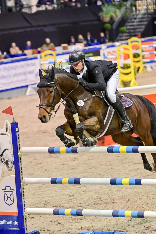 SH Holstein International  21-24.10.2021 Neumünster | Hünicke, Sven Gero - Cedric_4 