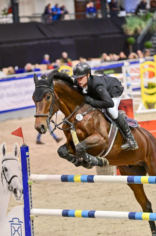 SH Holstein International  21-24.10.2021 Neumünster | Hünicke, Sven gero - Carat vom Petersberg_2 