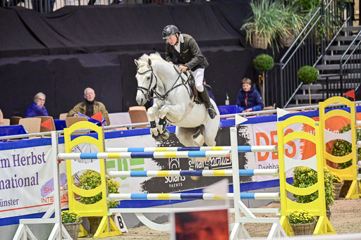 SH Holstein International  21-24.10.2021 Neumünster | Jensen, Steffen - Chiron_3 