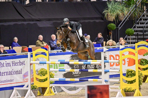 SH Holstein International  21-24.10.2021 Neumünster | Liebe, Alexander - Cassila_1_1 