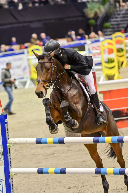 SH Holstein International  21-24.10.2021 Neumünster | Liebe, Alexander - Cassila_2 