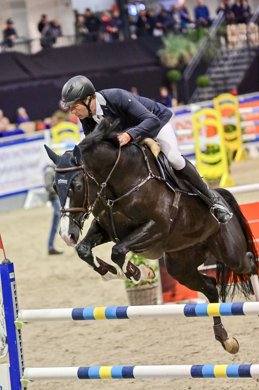 SH Holstein International  21-24.10.2021 Neumünster | Meves, Jan - Dynastie D 