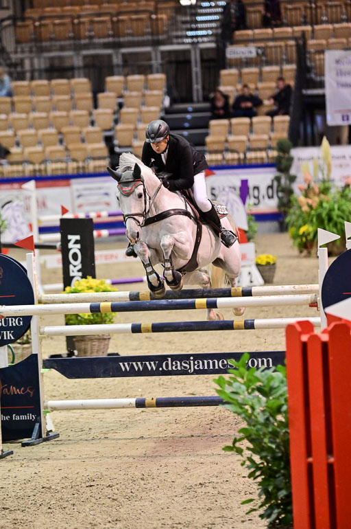 SH Holstein International  21-24.10.2021 Neumünster | Naeve, Jörg - My Boy 