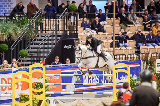 SH Holstein International  21-24.10.2021 Neumünster | Naeve, Jörg - My Boy_3 