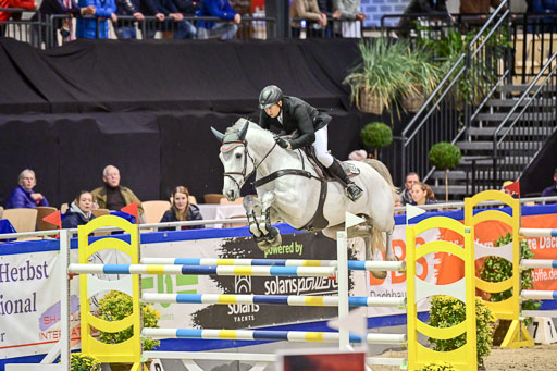 SH Holstein International  21-24.10.2021 Neumünster | Naeve, Jörg - My Boy_4 