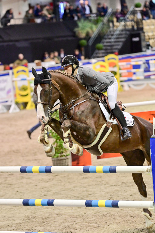 SH Holstein International  21-24.10.2021 Neumünster | Orschel, Cassandra - Dacara F_2 