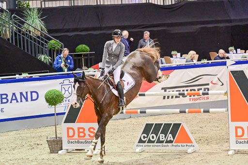 SH Holstein International  21-24.10.2021 Neumünster | Orschel, Cassandra - Dacara F_6 