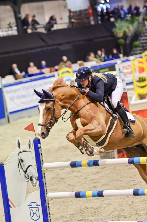 SH Holstein International  21-24.10.2021 Neumünster | Wachholz, Konstanze - Cruella de Vil_02 