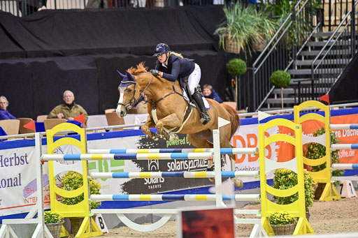 SH Holstein International  21-24.10.2021 Neumünster | Wachholz, Konstanze - Cruella de Vil_04 