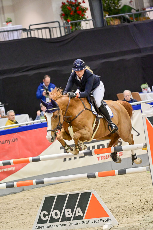 SH Holstein International  21-24.10.2021 Neumünster | Wachholz, Konstanze - Cruella de Vil_07 