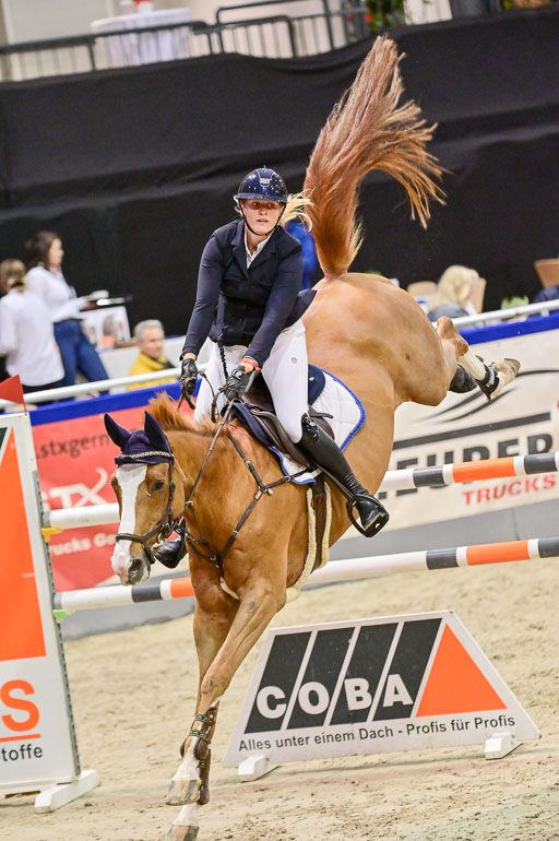 SH Holstein International  21-24.10.2021 Neumünster | Wachholz, Konstanze - Cruella de Vil_08 