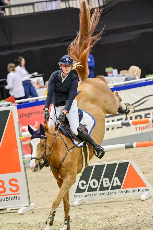 SH Holstein International  21-24.10.2021 Neumünster | Wachholz, Konstanze - Cruella de Vil_09 