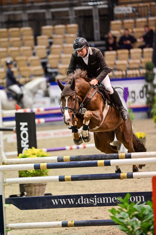 SH Holstein International  21-24.10.2021 Neumünster | jensen, Stefan - PM Curtis 