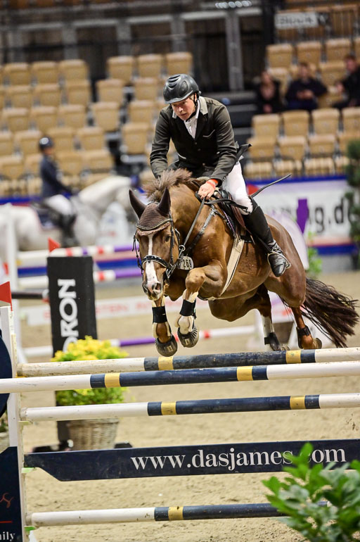 SH Holstein International  21-24.10.2021 Neumünster | jensen, Stefan - PM Curtis_1 
