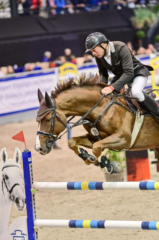 SH Holstein International  21-24.10.2021 Neumünster | jensen, Stefan - PM Curtis_2 