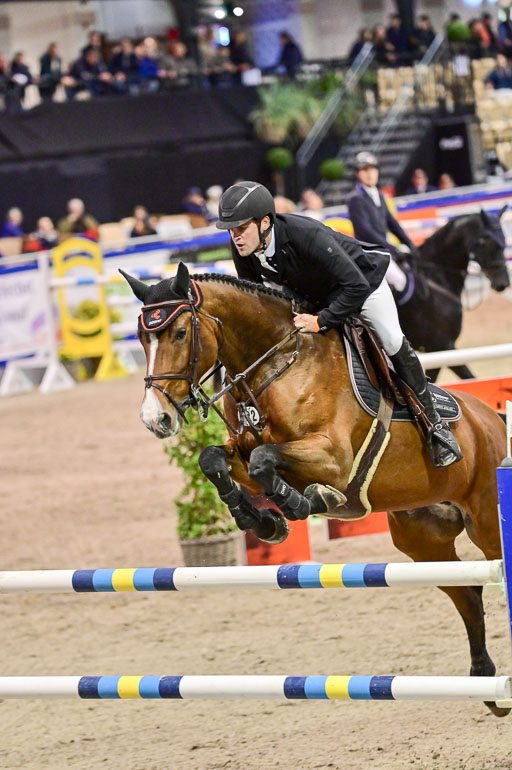 SH Holstein International  21-24.10.2021 Neumünster | von Appen, Alexander - Bond Lady VA_2 