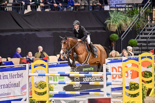 SH Holstein International  21-24.10.2021 Neumünster | von Appen, Alexander - Bond Lady VA_3 