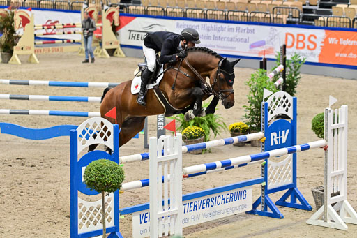 Pfg 16 Youngster 7 j