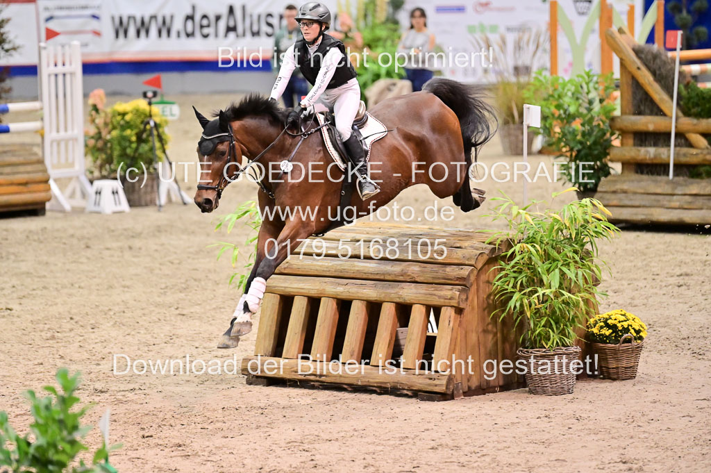  | Schöninger, Anja  - Schoensgreen Antares _08 