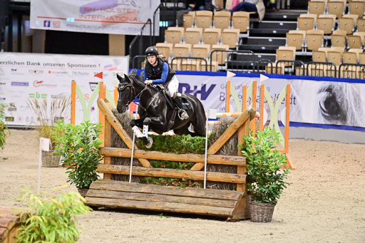  | Wikström, Hedwig - Pin Rocks _02 