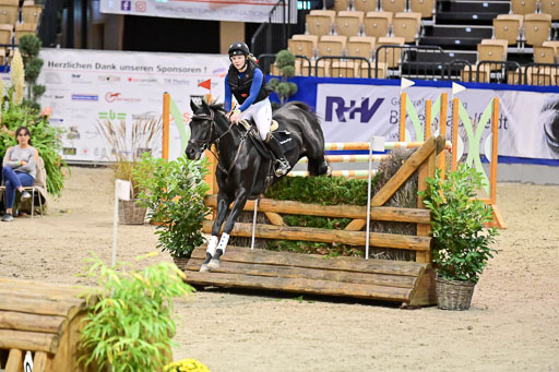  | Wikström, Hedwig - Pin Rocks _03 