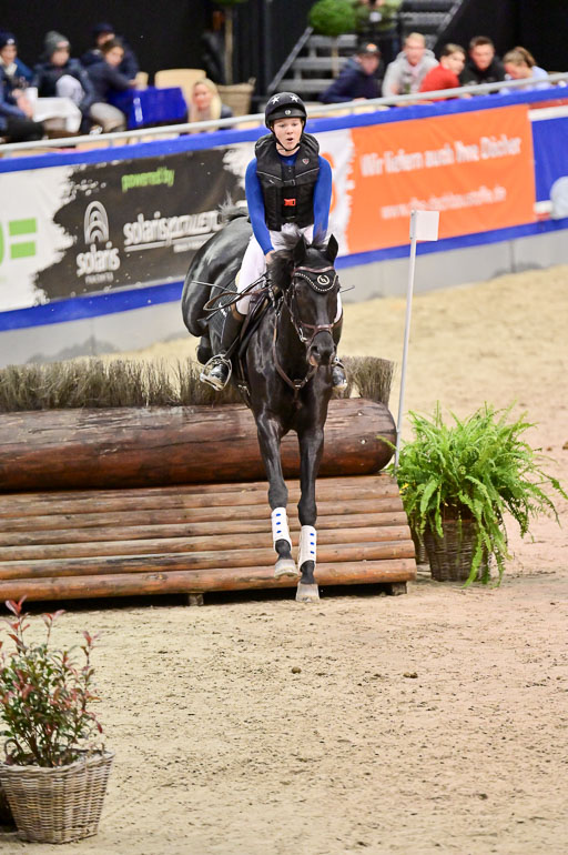  | Wikström, Hedwig - Pin Rocks _08 