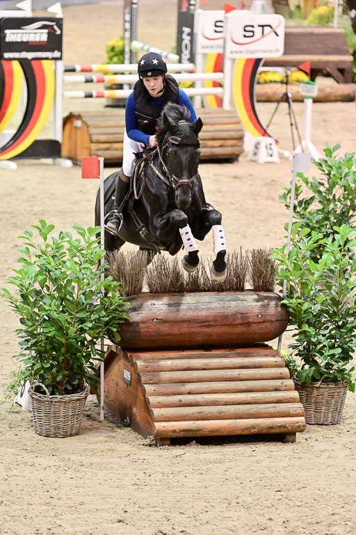  | Wikström, Hedwig - Pin Rocks _09 