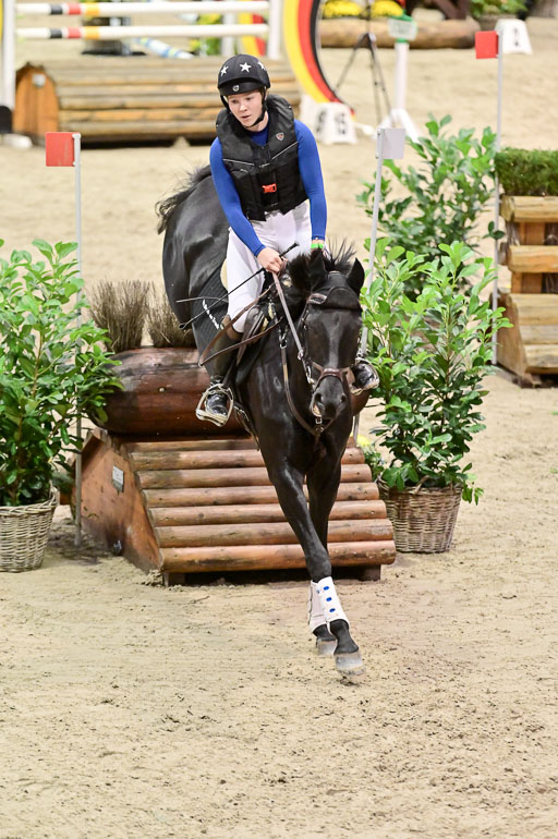  | Wikström, Hedwig - Pin Rocks _10 