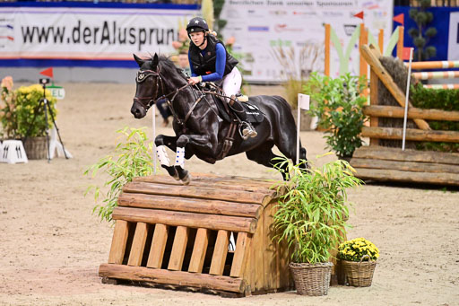  | Wikström, Hedwig - Pin Rocks _12 