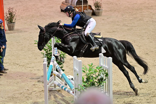  | Wikström, Hedwig - Pin Rocks _13 