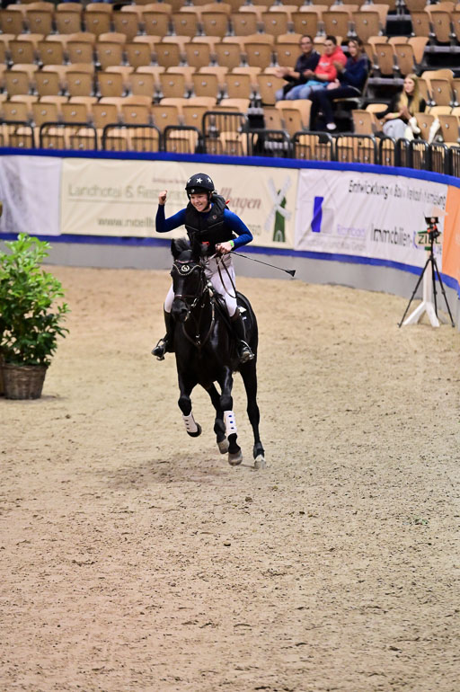  | Wikström, Hedwig - Pin Rocks _14 