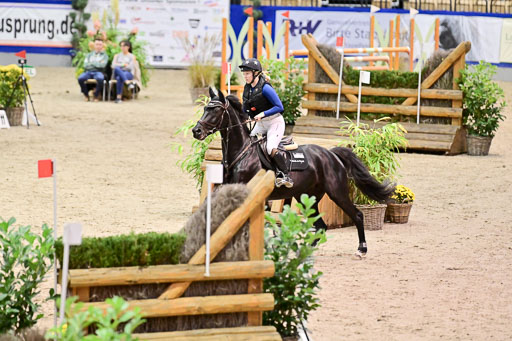  | Wikström, Hedwig - Pin Rocks 