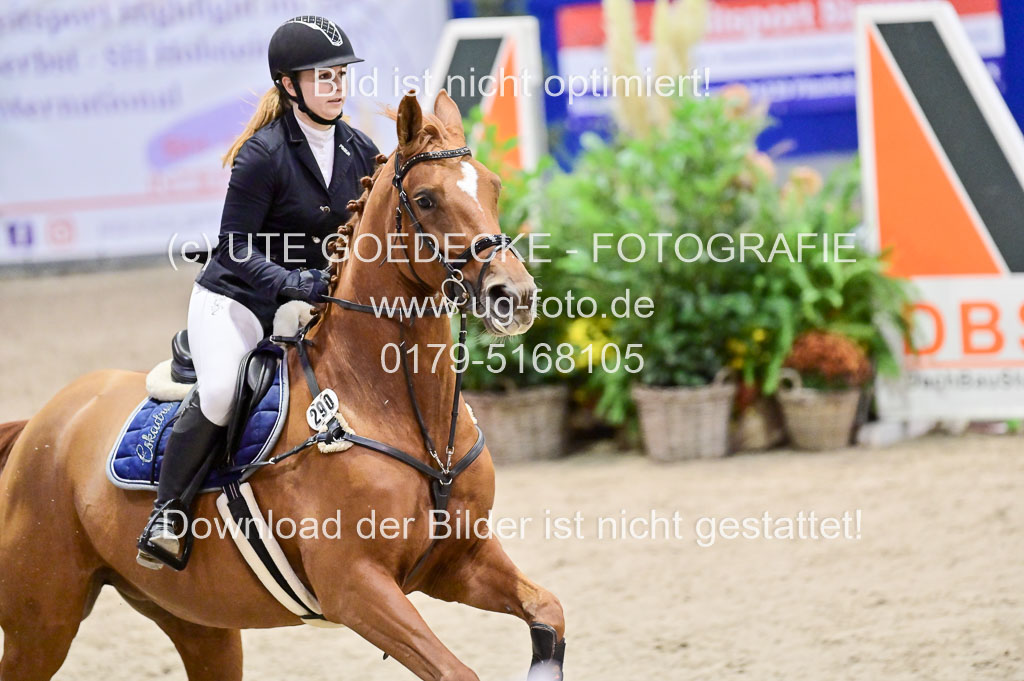  | Pfg 3 Bronze Grand Prix_100 
