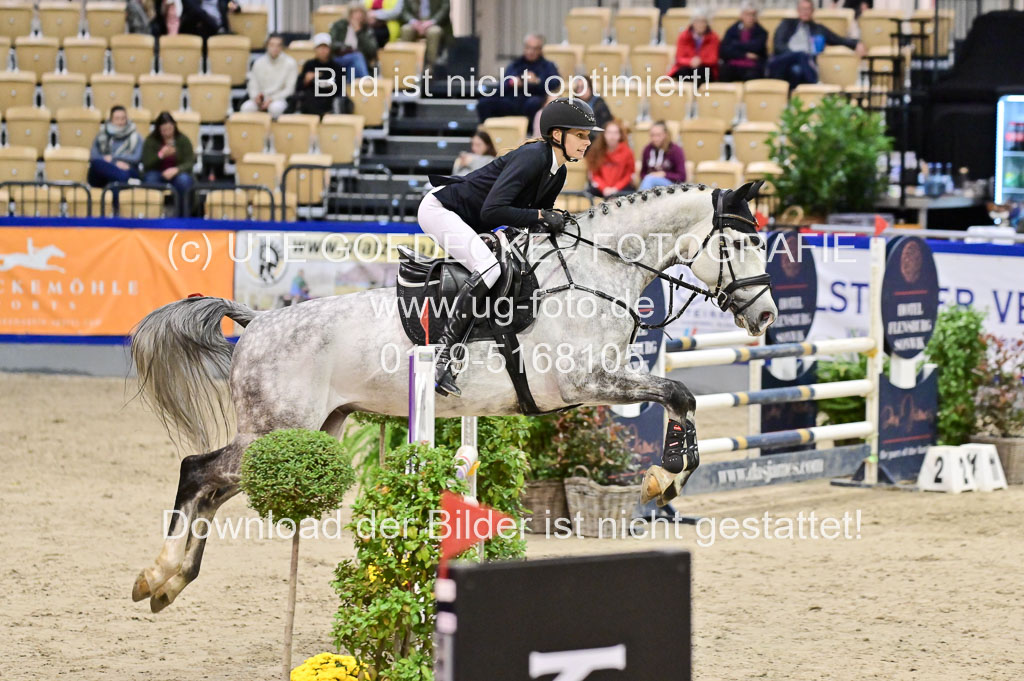  | Pfg 3 Bronze Grand Prix_206 