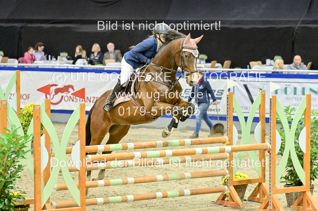  | Pfg 3 Bronze Grand Prix_235 