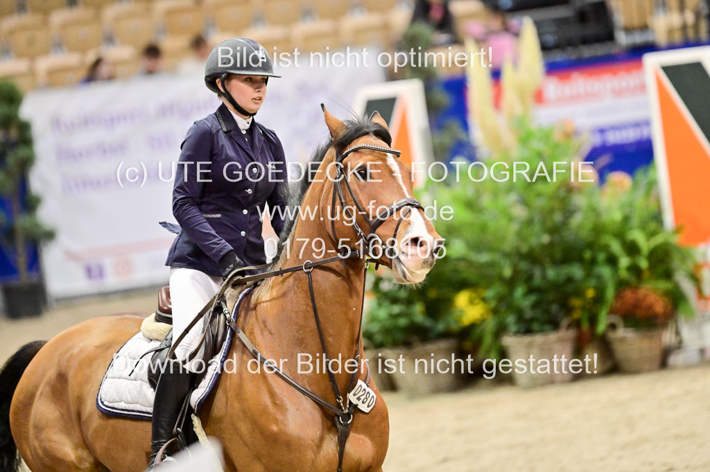  | Pfg 3 Bronze Grand Prix_249 