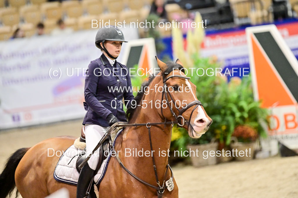  | Pfg 3 Bronze Grand Prix_250 