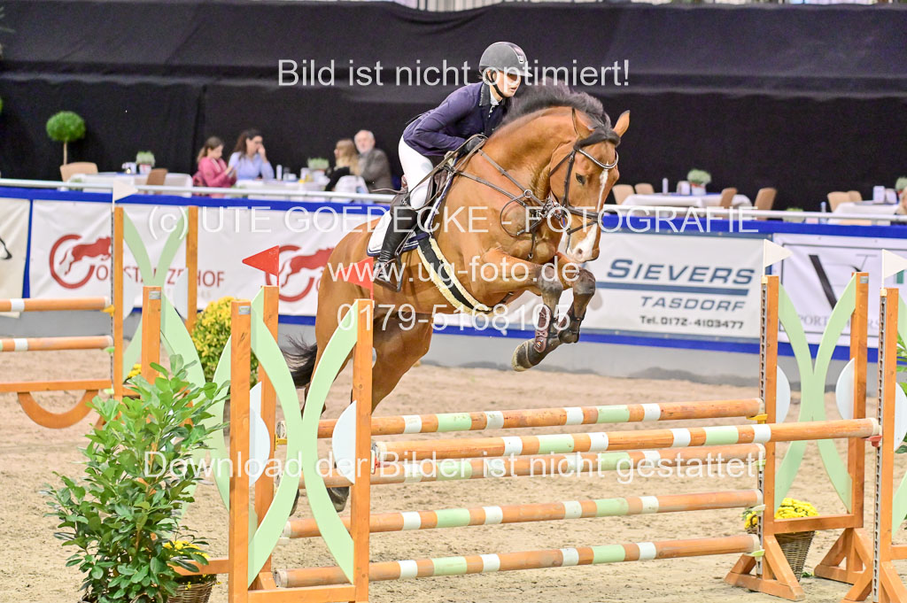  | Pfg 3 Bronze Grand Prix_256 