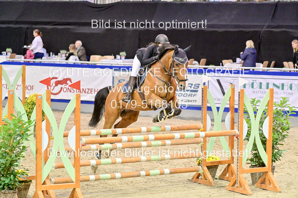  | Pfg 3 Bronze Grand Prix_264 