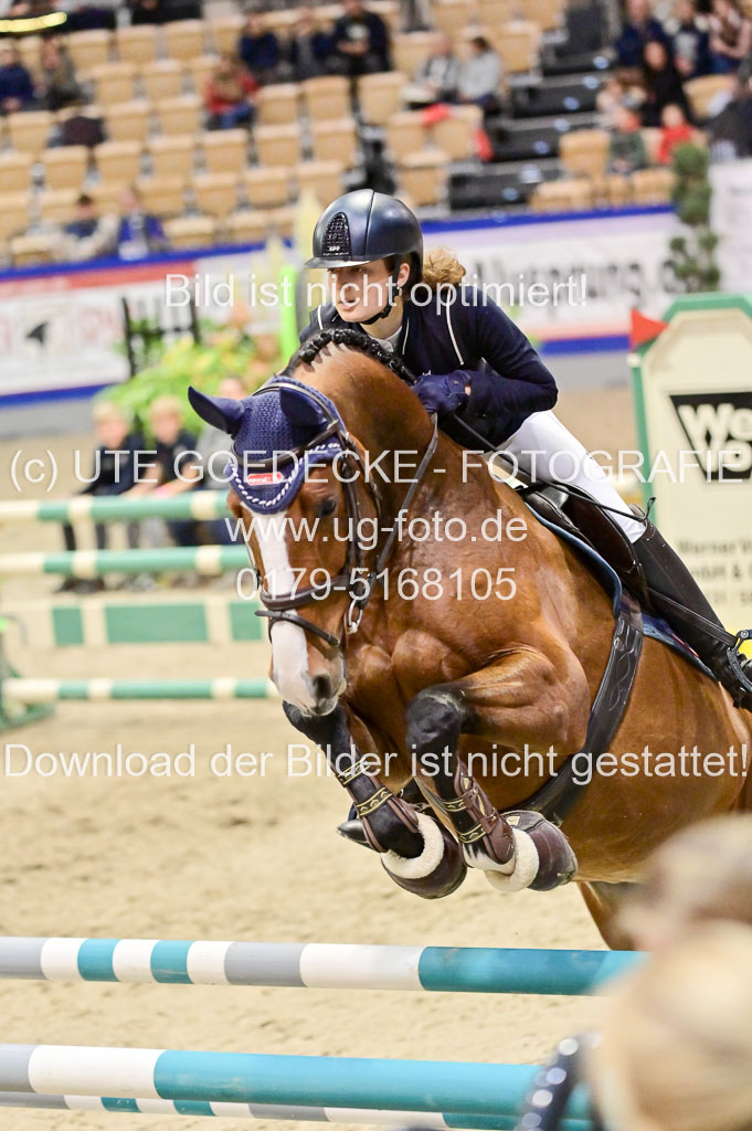  | Pfg 3 Bronze Grand Prix_284 