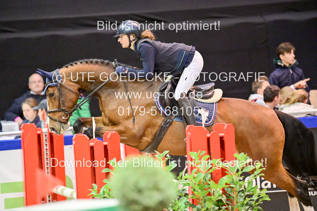  | Pfg 3 Bronze Grand Prix_289 