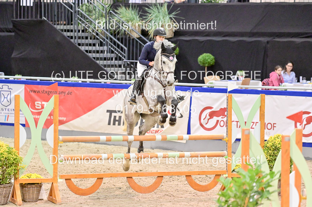  | Pfg 3 Bronze Grand Prix_297 