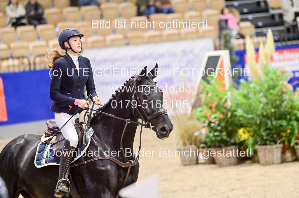  | Pfg 3 Bronze Grand Prix_309 