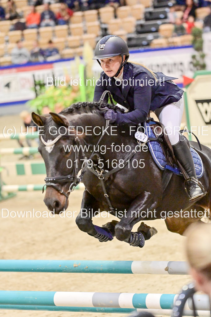  | Pfg 3 Bronze Grand Prix_334 