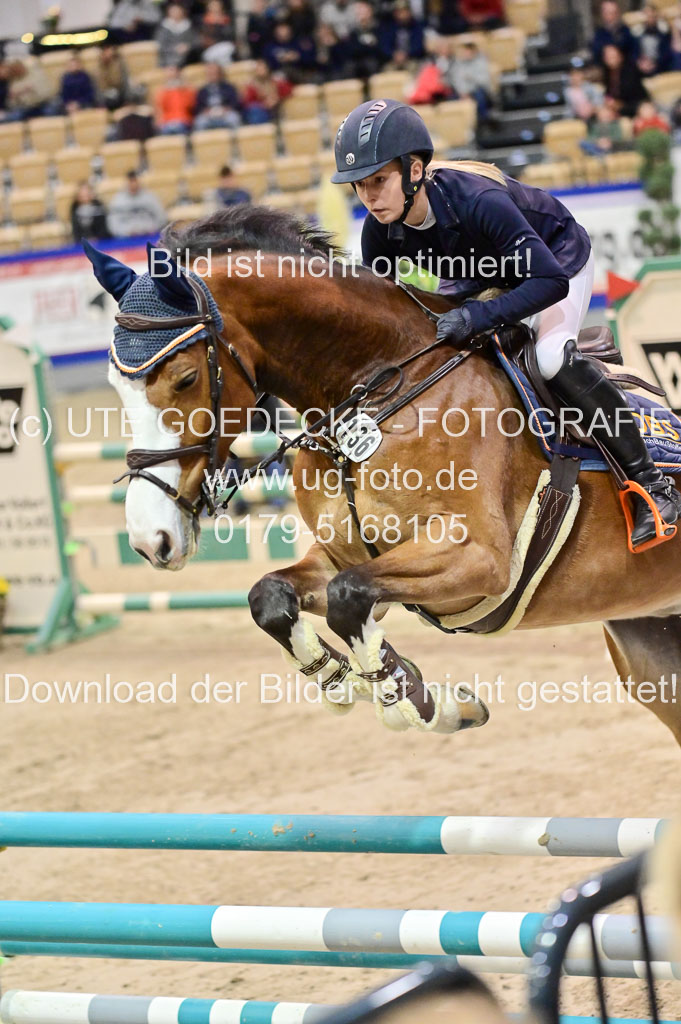  | Pfg 3 Bronze Grand Prix_351 