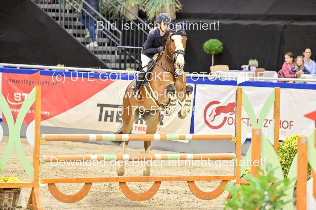  | Pfg 3 Bronze Grand Prix_352 