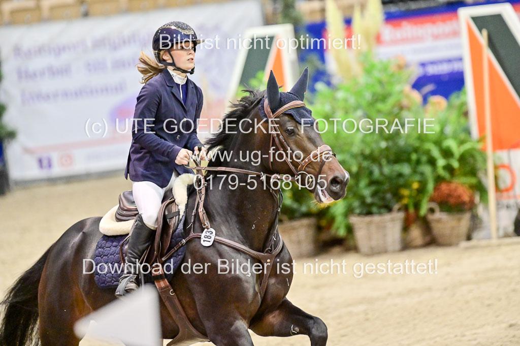  | Pfg 3 Bronze Grand Prix_367 