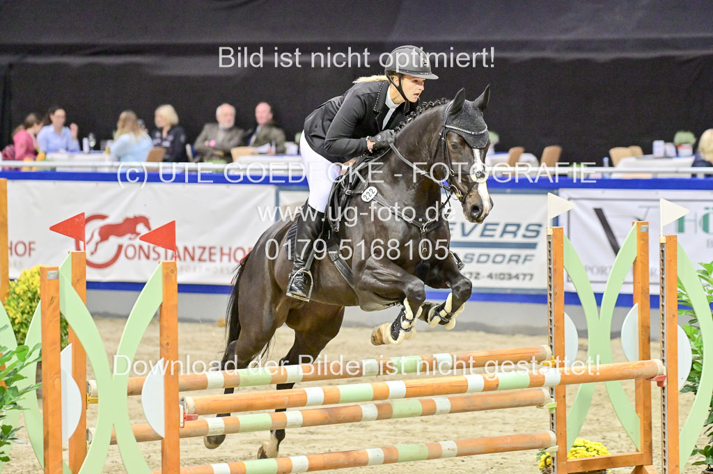  | Pfg 3 Bronze Grand Prix_384 