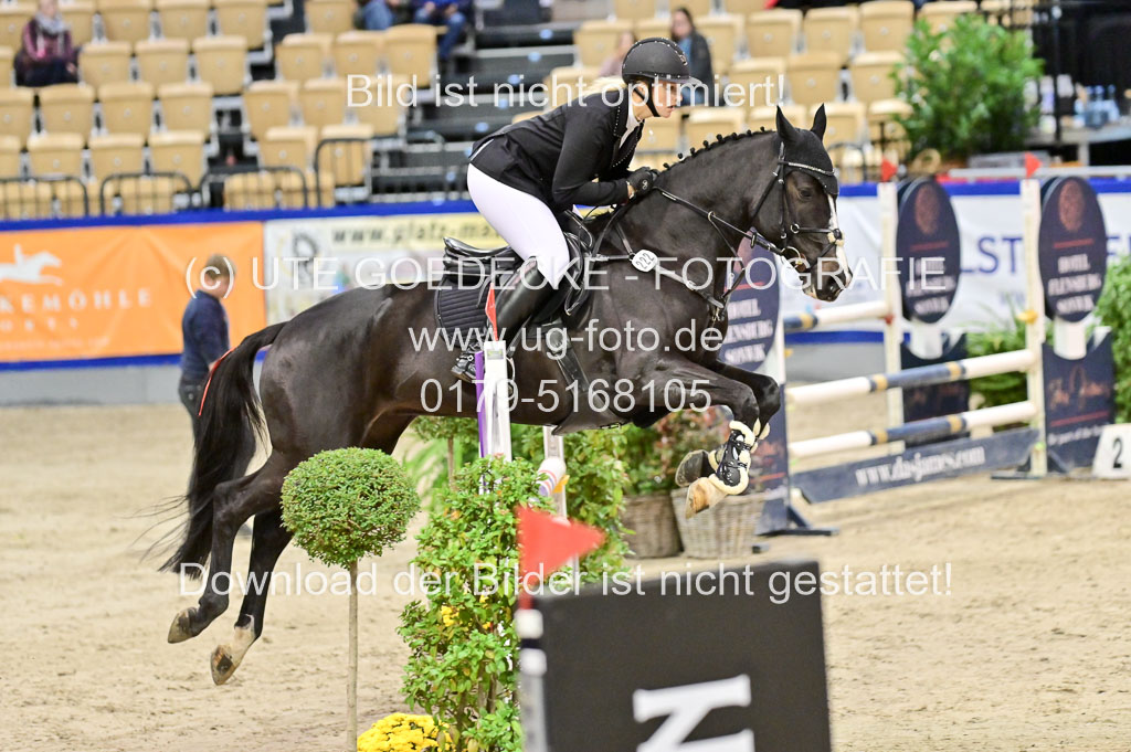  | Pfg 3 Bronze Grand Prix_390 