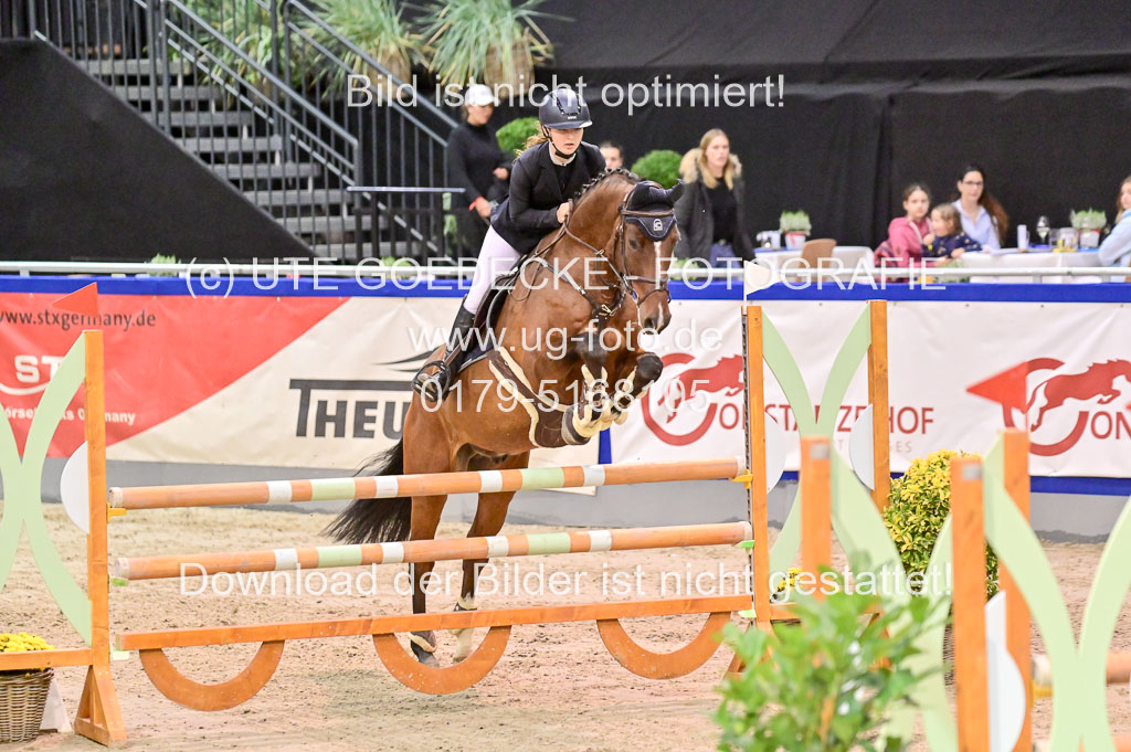  | Pfg 3 Bronze Grand Prix_399 